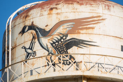 Leo Etherington painting on top of water tower