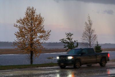 Heavy rain