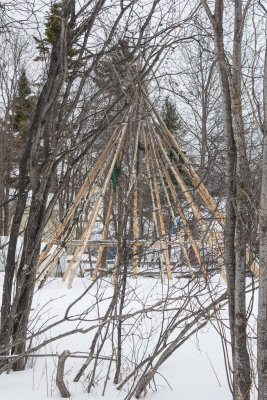 Tipi poles in a backyard on Butcher Street