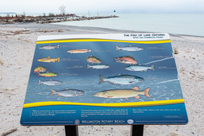 Fish of Lake Ontario sign at Wellington Rotary Beach