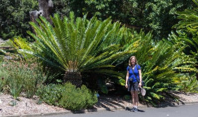 royal_botanical_gardens_sydney_australia