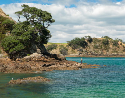 Headlands Walk, Waiheke Island, New Zealand