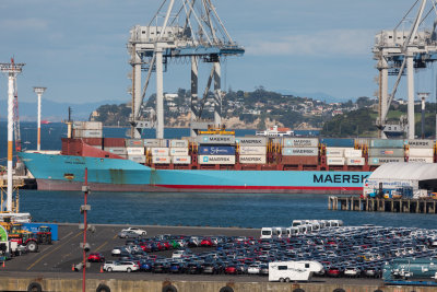 Busy Port, Auckland, New Zealand