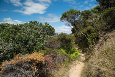 Headlands Walk, Waiheke Island, New Zealand