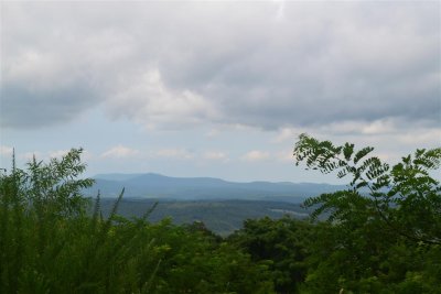Scenery at Roundtop Trail (Entrance)