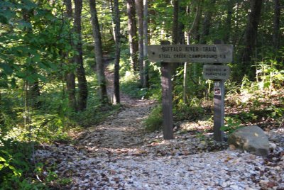 Ponca Bridge, Path Scenery (Wife)