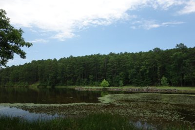 Lake Sylvia, Scenery