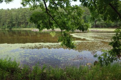 Lake Sylvia, Scenery