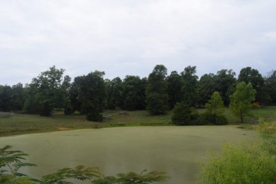 (20180726_130105_nfl_d3300)
