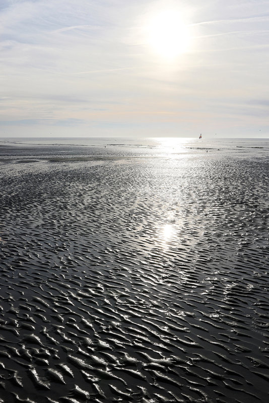 29 - Baie de Somme et cte Opale - octobre 2016 - IMG_0343_DxO Pbase.jpg
