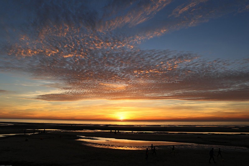 157 - Baie de Somme et cte Opale - octobre 2016 - IMG_0473_DxO Pbase.jpg