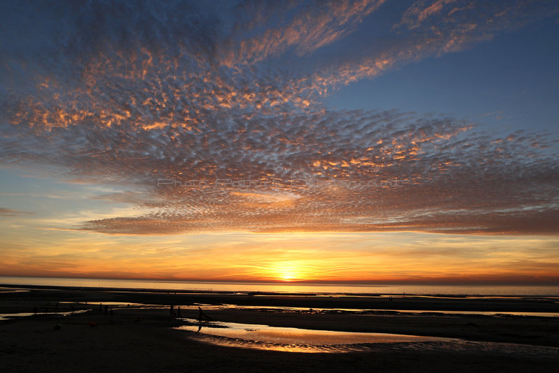 158 - Baie de Somme et cte Opale - octobre 2016 - IMG_0474_DxO Pbase.jpg