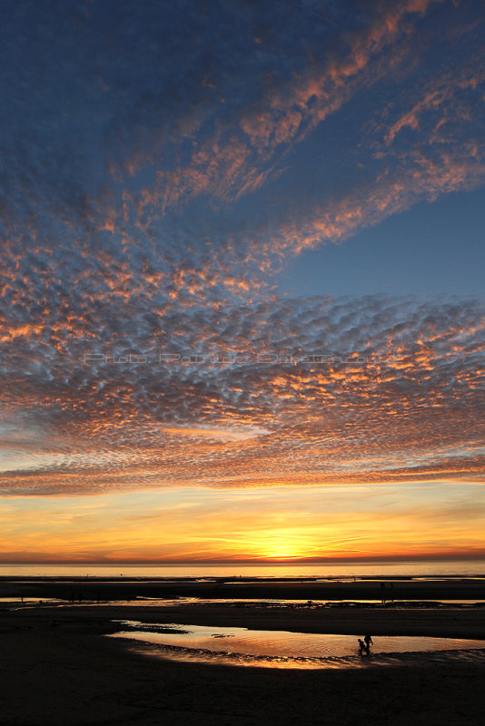 165 - Baie de Somme et cte Opale - octobre 2016 - IMG_0482_DxO Pbase.jpg