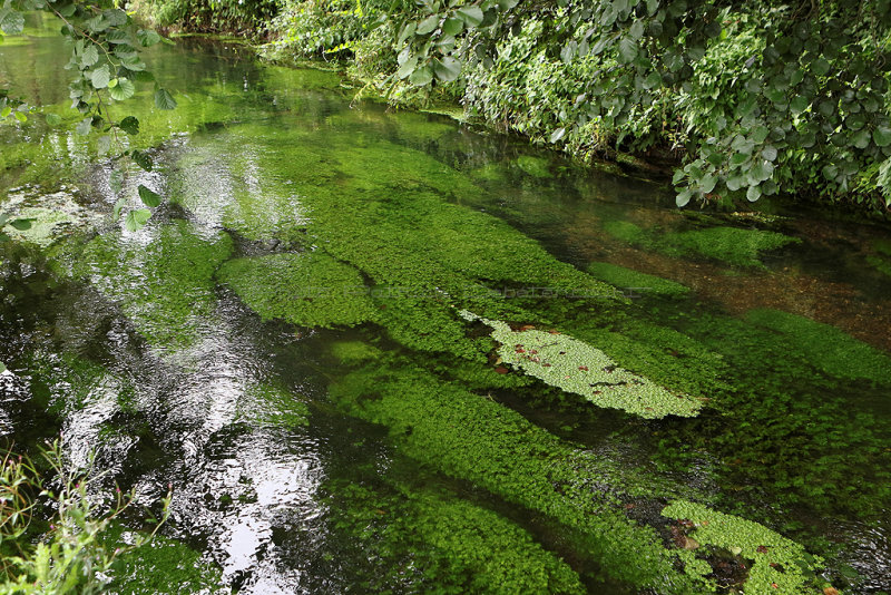 Au bord de l'Epte la rivire  la frontire de la Normandie et du Vexin