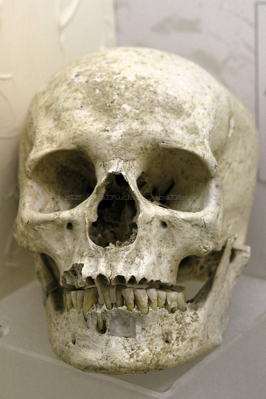 Visite du muse archologique de Guiry en Vexin