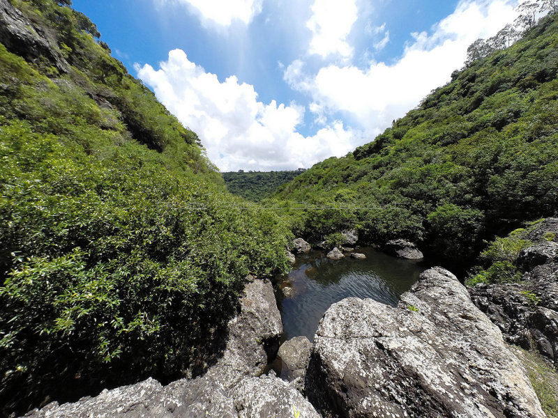 838 - Vacances ile Maurice janvier 2017 - GOPR5407_DxO Pbase.jpg
