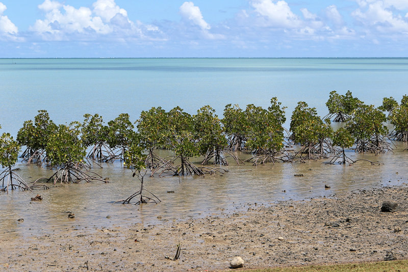 Ile Rodrigues - Dcouverte de la cte nord et du centre de l'le