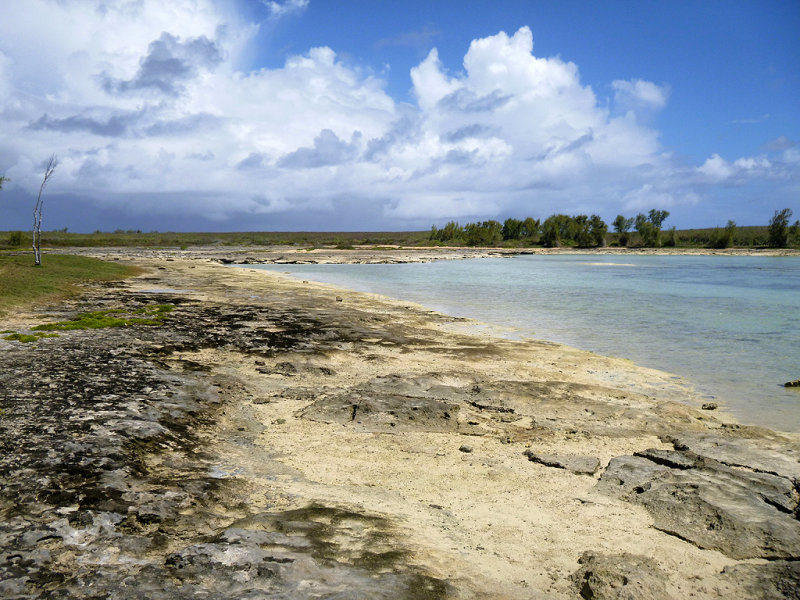 Ile Rodrigues - Journe  l'ile aux Chats et  l'le Hermitage