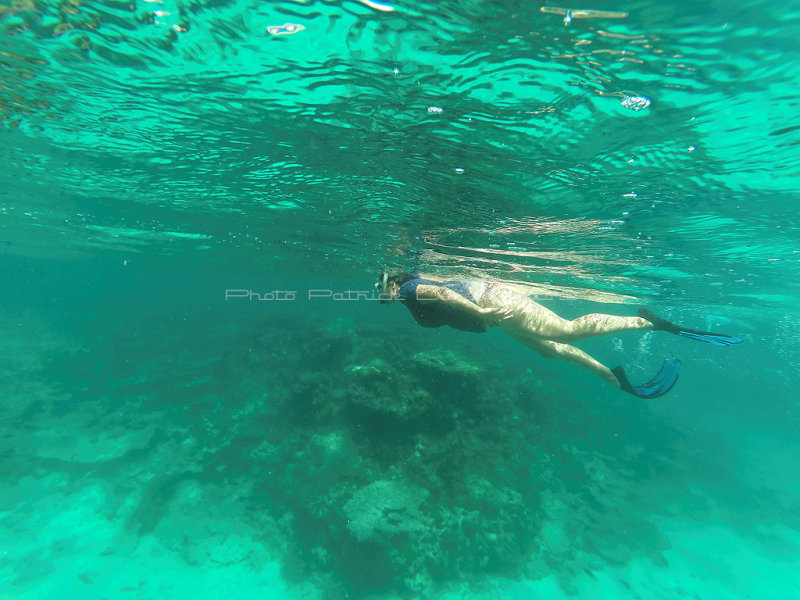 526 - Snorkeling ile Rodrigues janvier 2017 - GOPR6368 DxO Pbase.jpg