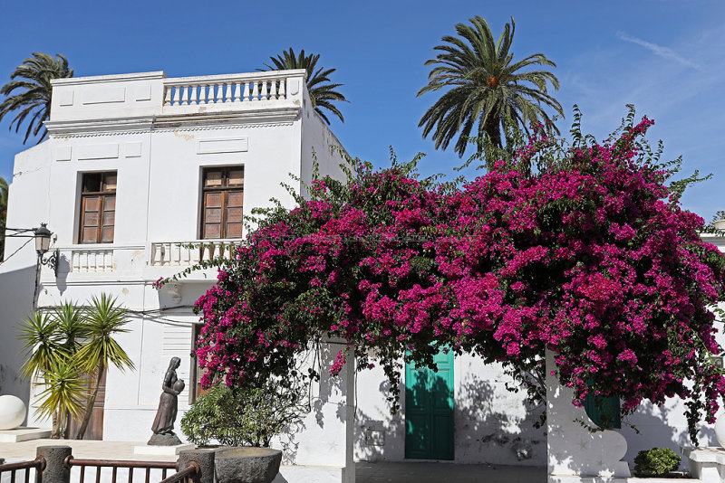 Best of de mes photos de l'archipel des les Canaries (Lanzarote, Fuerteventura, Tenerife et La Gomera) 