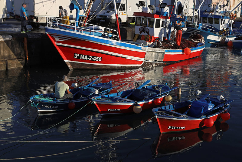 3369 Vacances aux iles Canaries nov 2017 - IMG_3666 DxO Pbase.jpg