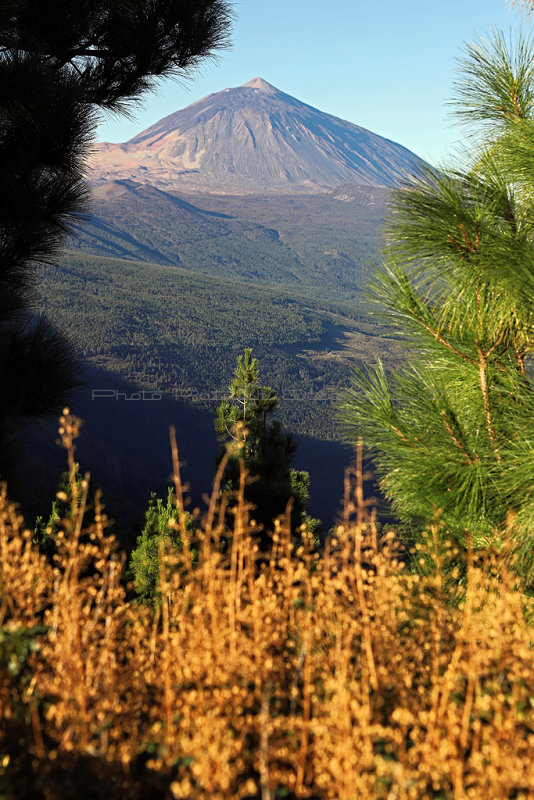Dcouverte des les Canaries  Tenerife : excursion au parc national del Teide