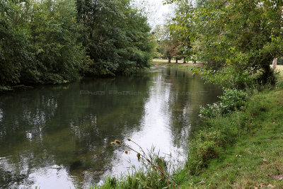 1 - Balades dans le Vexin - IMG_4163_DxO Pbase.jpg