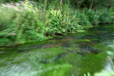 22 - Balades dans le Vexin - IMG_4209_DxO Pbase.jpg