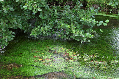 24 - Balades dans le Vexin - IMG_4214_DxO Pbase.jpg
