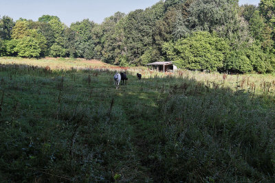 157 - Balades dans le Vexin - IMG_4365_DxO Pbase.jpg