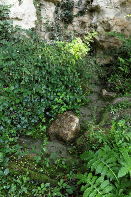 160 - Balades dans le Vexin - IMG_4369_DxO Pbase.jpg