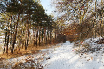 Balade hivernale sur le GR 11 le long de l'Aubette prs de Magny en Vexin