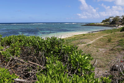 617 - Vacances ile Maurice janvier 2017 - IMG_1578_DxO Pbase.jpg