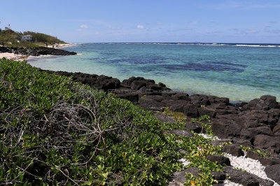 647 - Vacances ile Maurice janvier 2017 - IMG_1604_DxO Pbase.jpg