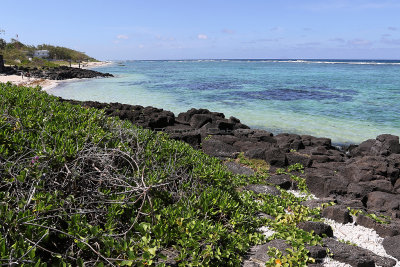 649 - Vacances ile Maurice janvier 2017 - IMG_1606_DxO Pbase.jpg