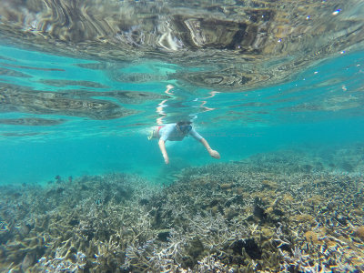 562 - Snorkeling ile Maurice janvier 2017 - GOPR6595_DxO Pbase.jpg