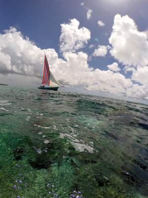 575 - Snorkeling ile Maurice janvier 2017 - GOPR6608_DxO Pbase.jpg