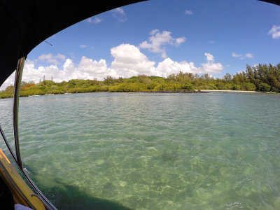 607 - Snorkeling ile Maurice janvier 2017 - GOPR6640_DxO Pbase.jpg