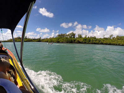 609 - Snorkeling ile Maurice janvier 2017 - GOPR6643_DxO Pbase.jpg