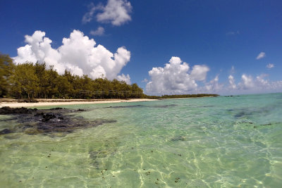 651 - Snorkeling ile Maurice janvier 2017 - GOPR6685_DxO Pbase.jpg