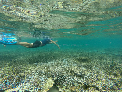 678 - Snorkeling ile Maurice janvier 2017 - GOPR6714_DxO Pbase.jpg