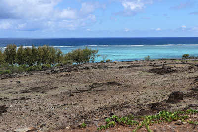 225 - Vacances ile Rodrigues janvier 2017 - IMG_2208_DxO Pbase.jpg