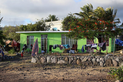 334 - Vacances ile Rodrigues janvier 2017 - IMG_2312_DxO Pbase.jpg