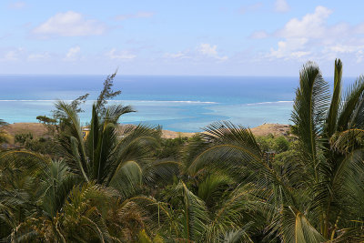 458 - Vacances ile Rodrigues janvier 2017 - IMG_2431_DxO Pbase.jpg