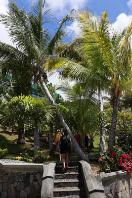 463 - Vacances ile Rodrigues janvier 2017 - IMG_2435_DxO Pbase.jpg