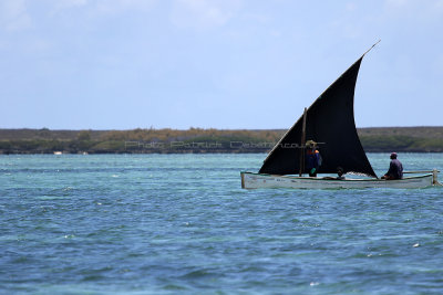 482 - Vacances ile Rodrigues janvier 2017 - IMG_2454_DxO Pbase.jpg