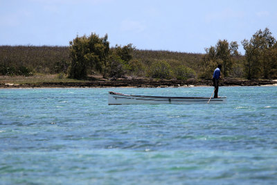 496 - Vacances ile Rodrigues janvier 2017 - IMG_2468_DxO Pbase.jpg