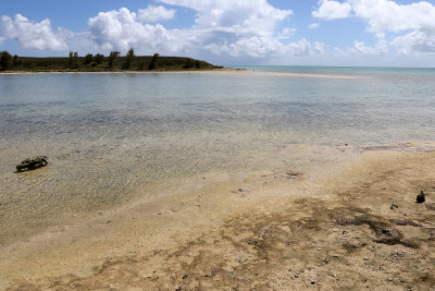 545 - Vacances ile Rodrigues janvier 2017 - IMG_2513_DxO Pbase.jpg