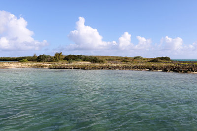 585 - Vacances ile Rodrigues janvier 2017 - IMG_2551_DxO Pbase.jpg