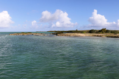 586 - Vacances ile Rodrigues janvier 2017 - IMG_2552_DxO Pbase.jpg